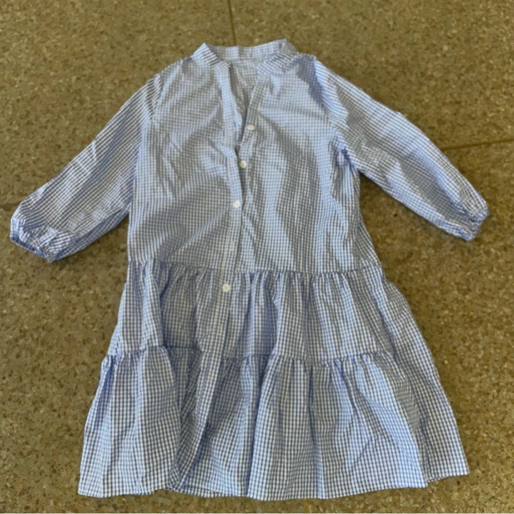 Blue Gingham Button-Down Dress - image 1